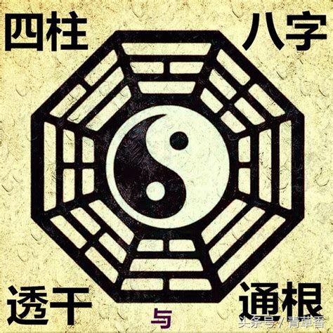 八字 透干|《四柱八字》的透干與通根詳解